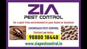 Pest control Service | AMC available for pest cleaning  | Call Now Coc